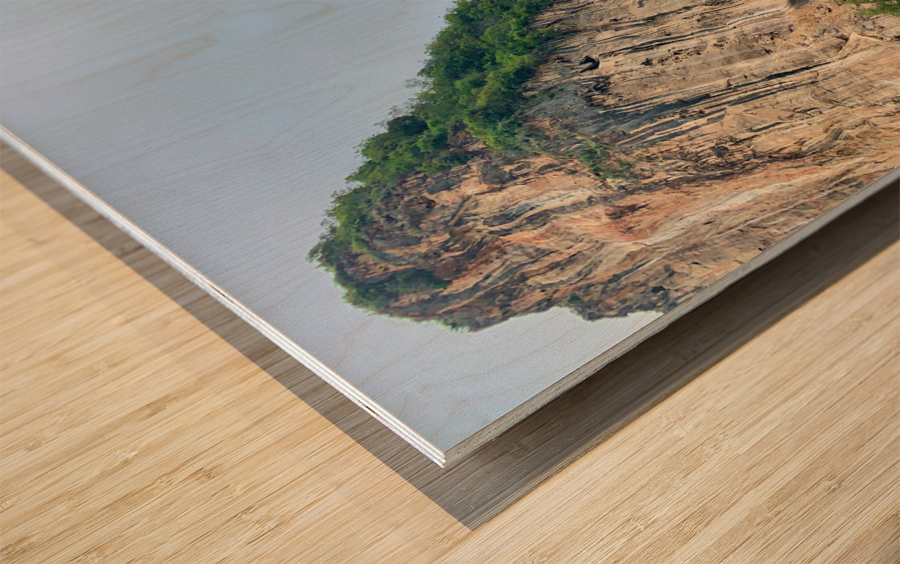 Living on the Beach Wood print