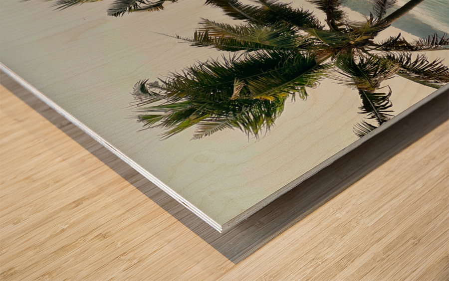 Palm Trees by the Beach Wood print