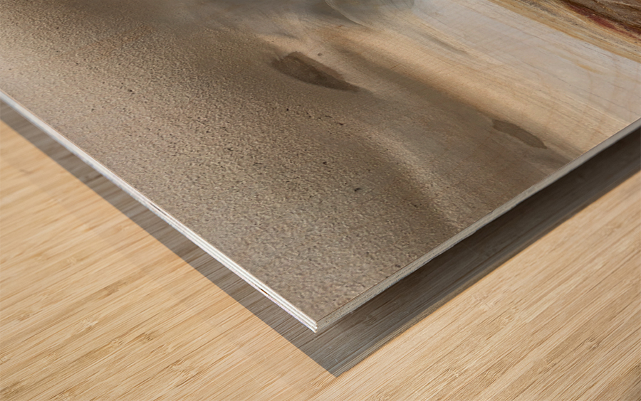 Rock Art Impression sur bois