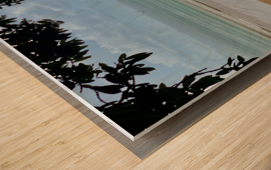 Nice Beach Wood print