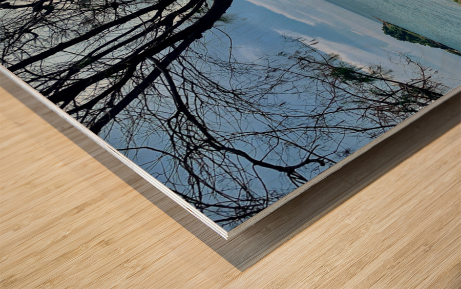 Swings by the Ocean Wood print