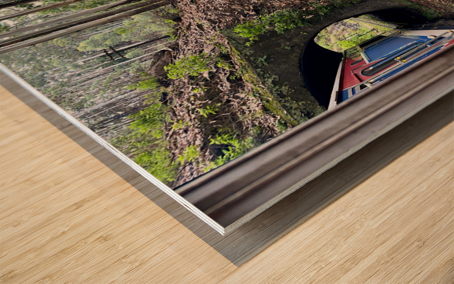 Train Through the Mini Tunnel Wood print