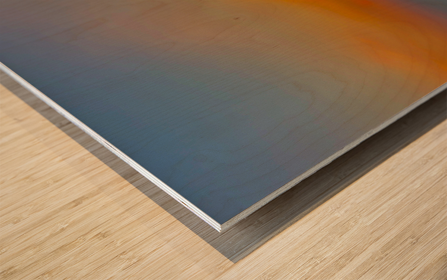 Thinking Monkey at Sunset Wood print