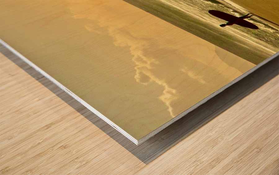 Surfer on the Beach at Sunset Wood print