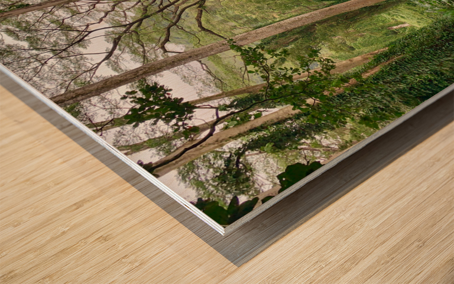 The Canopy Wood print