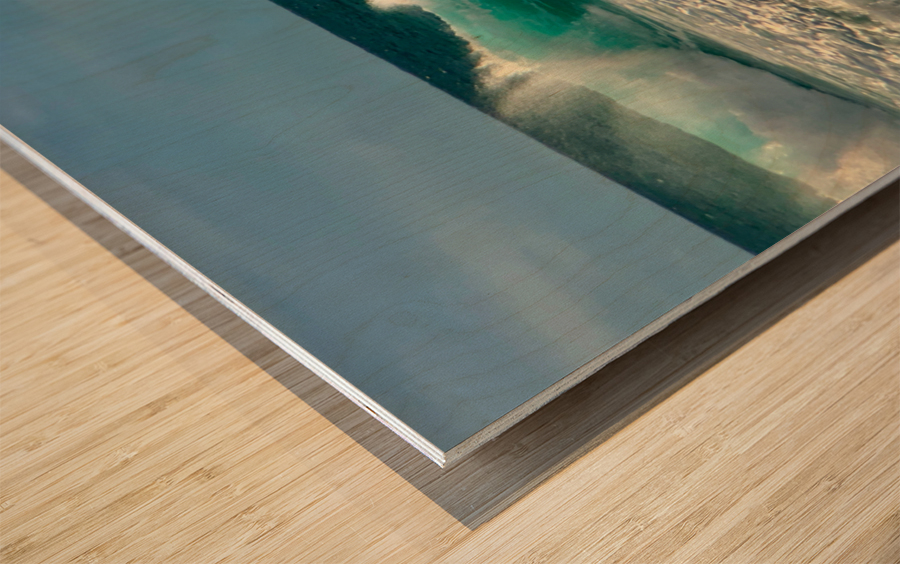 The Surfer Wood print