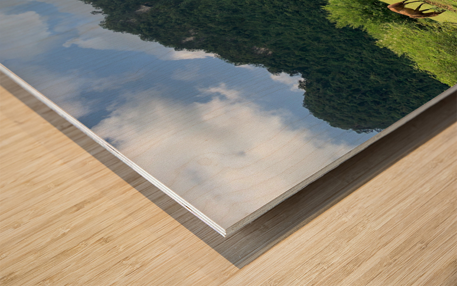 Wild horses Wood print