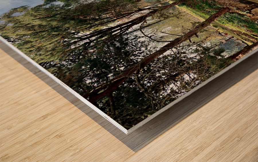 Little Waterway Wood print