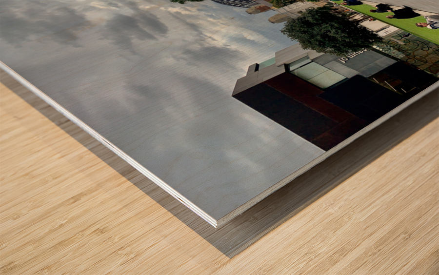 Fly for the Cruise Wood print