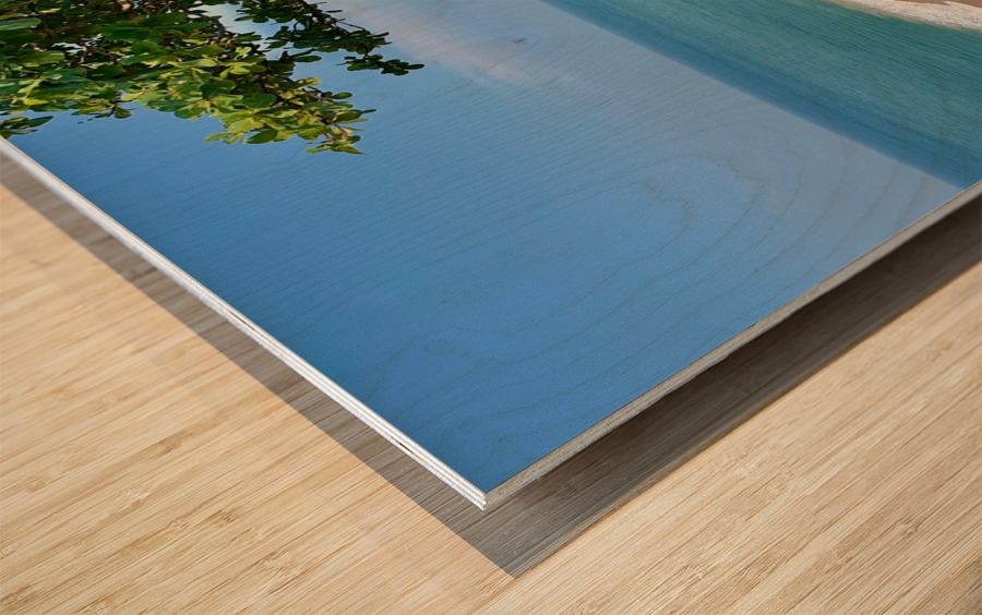 Beach from the Cliff Impression sur bois