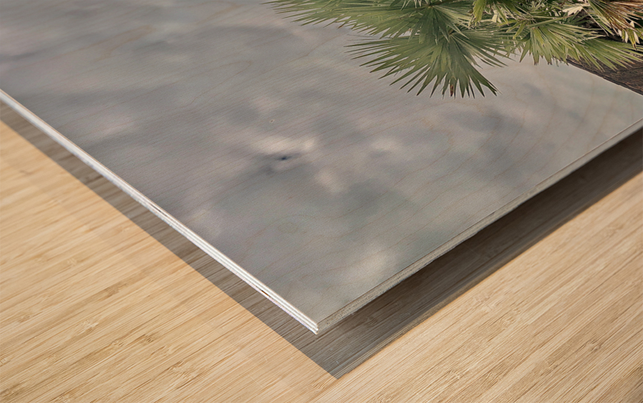 Angkor Wat Temple 16 Wood print