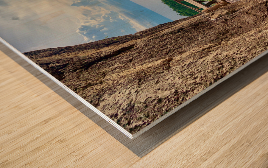 The Picnic View Wood print