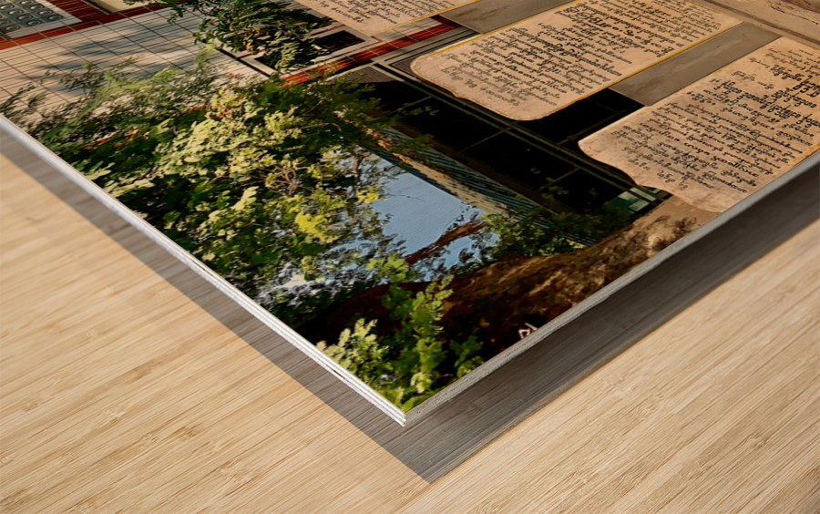 The Man and the Dog Wood print