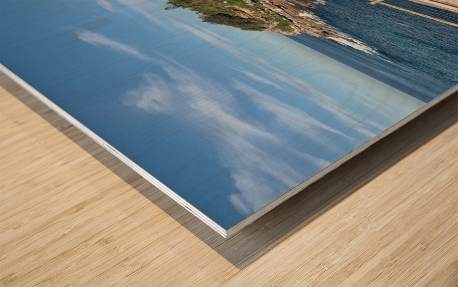 Walkway Along the Shore Wood print