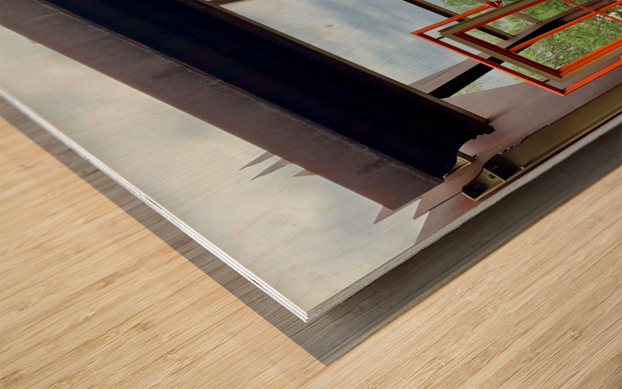 The Last Door Wood print