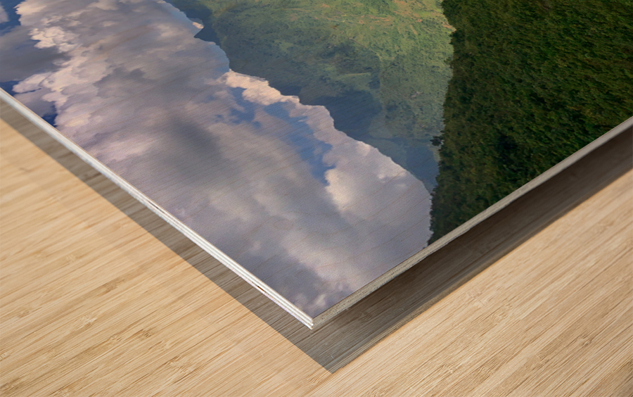 Spotlight in the Mountains Wood print