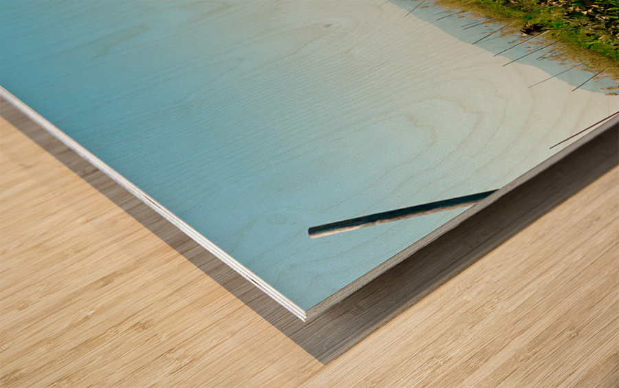 Working in the Field Impression sur bois