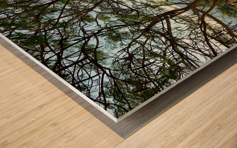 The Tree Impression sur bois