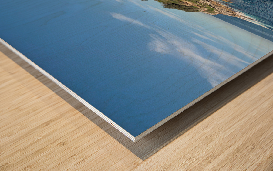 Sea Shore Homes Wood print