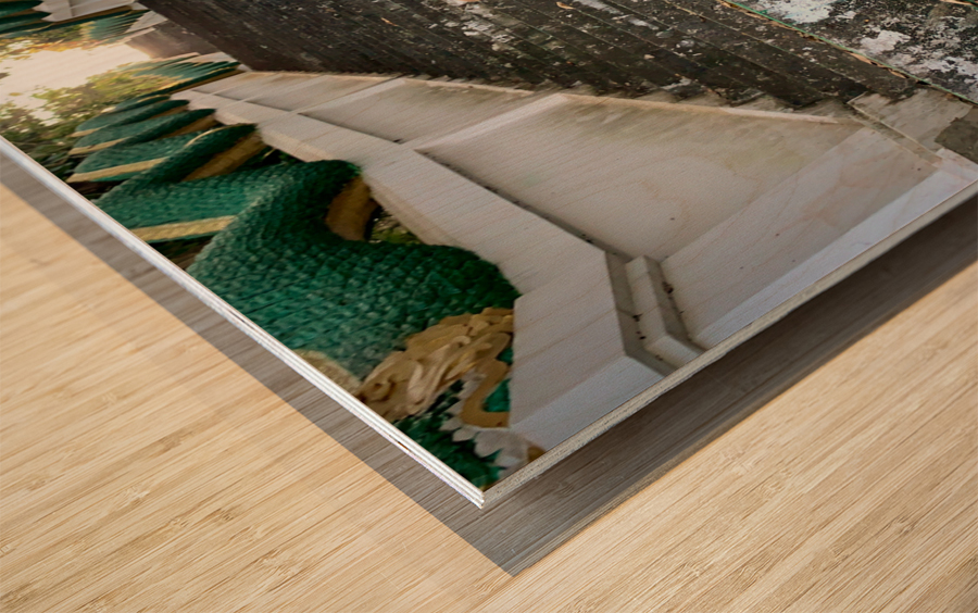 Puppy Walking Down Wood print