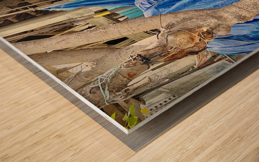 Bricks on the Head Wood print