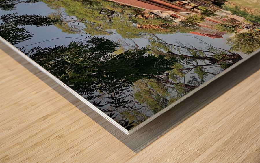 Fancy Walk Across the River Wood print