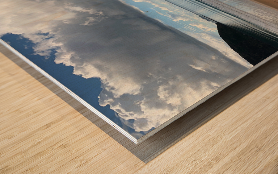 Half Nice Half Rain 3 Wood print