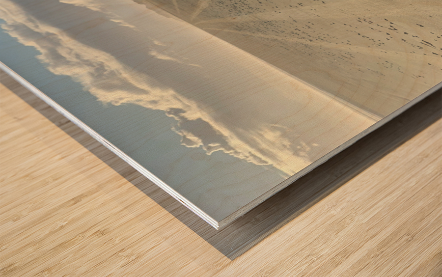 Infinite Sandy Beach Wood print