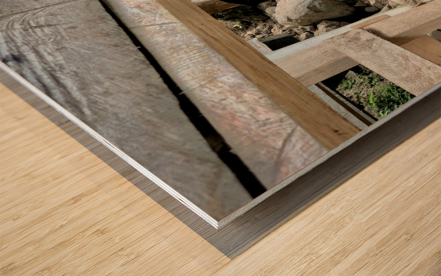 Hiding Little Girl Wood print