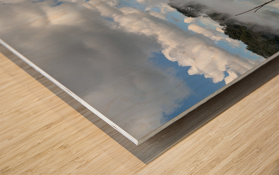 Branches reflections Wood print