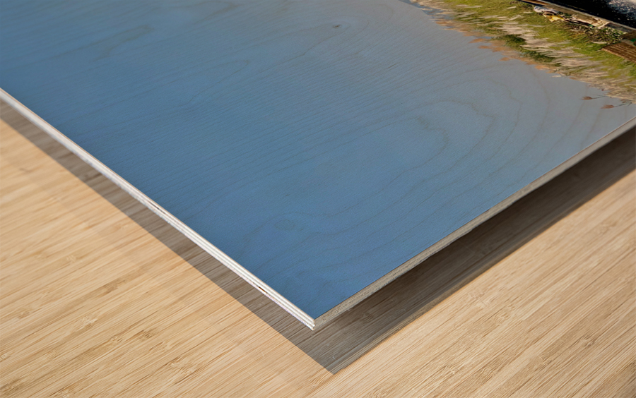 Fast Boat on the River Wood print