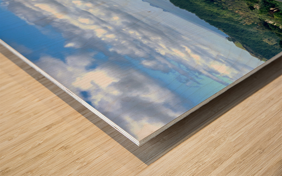 Road to the Bay Wood print