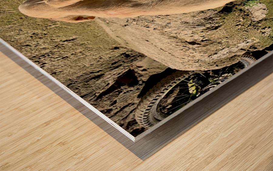 Puppy s efforts Wood print