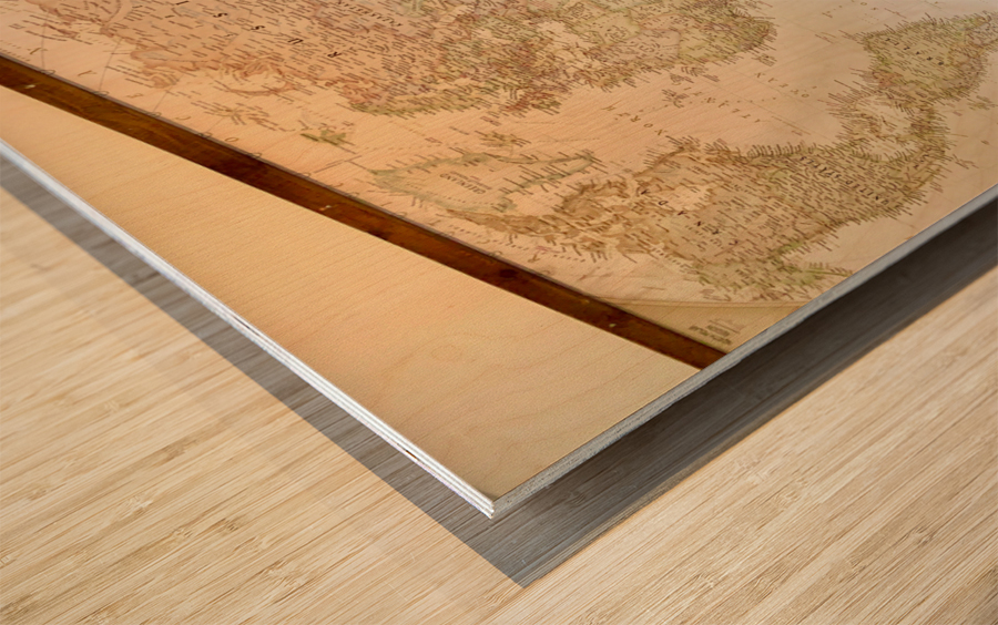 World Backpackers Wood print