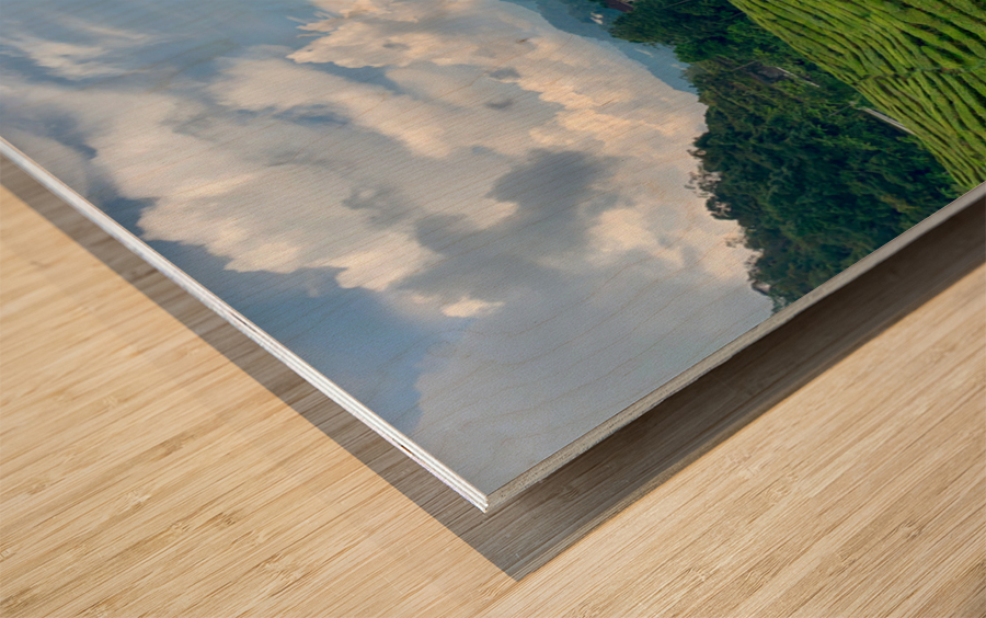 Tea Plantations 8 Impression sur bois