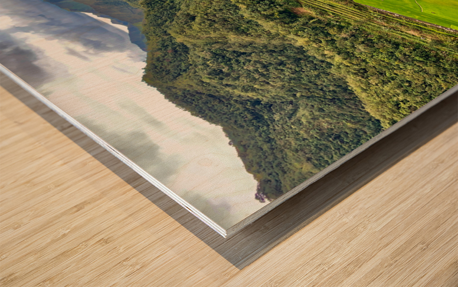 Rice Valley 2 Wood print