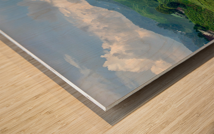 Tea Plantations 7 Wood print