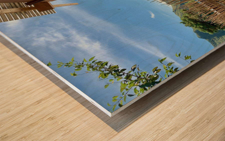 Sun Through the Bamboo Fence Wood print