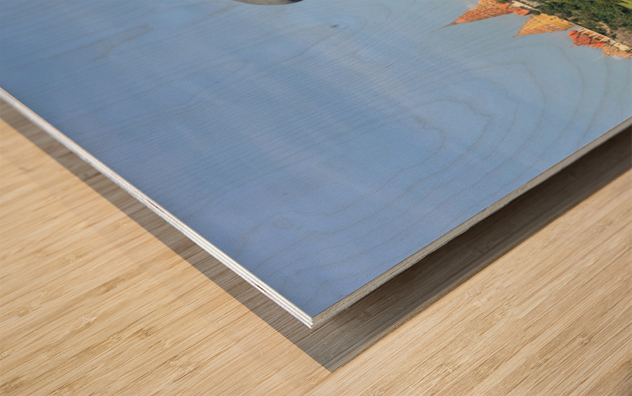 Water Buffalo Head in front of Temple Wood print