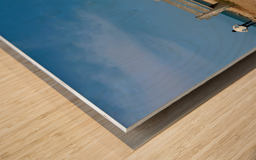 The Twin Benches Wood print