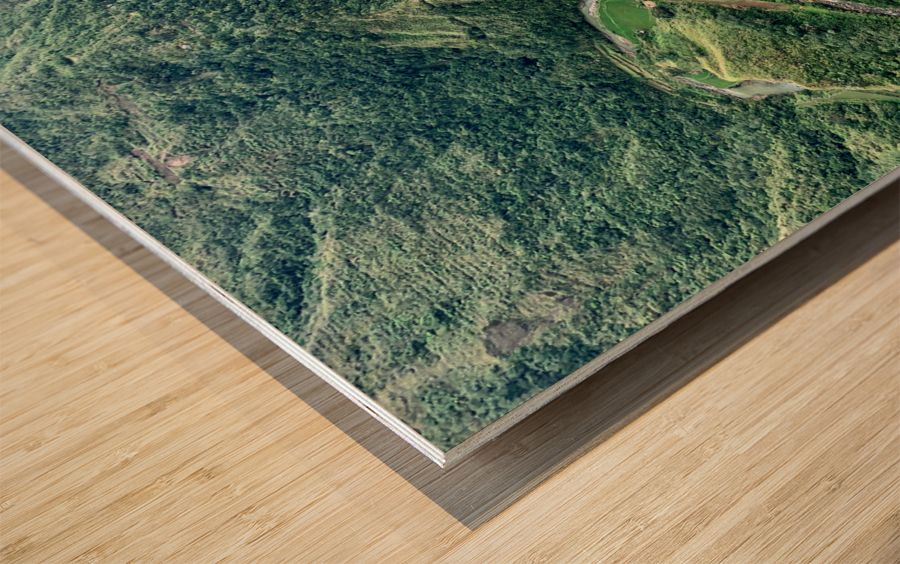 S-Shaped River Rice Valley Wood print