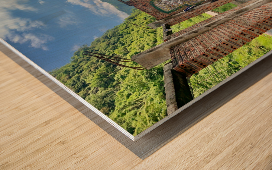 Nature Through the Window Wood print