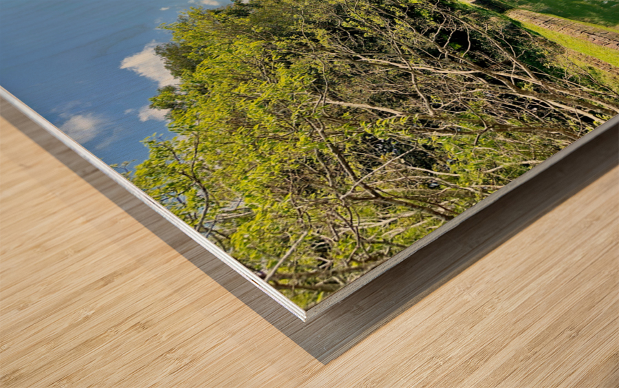 Both Side Reflections Wood print