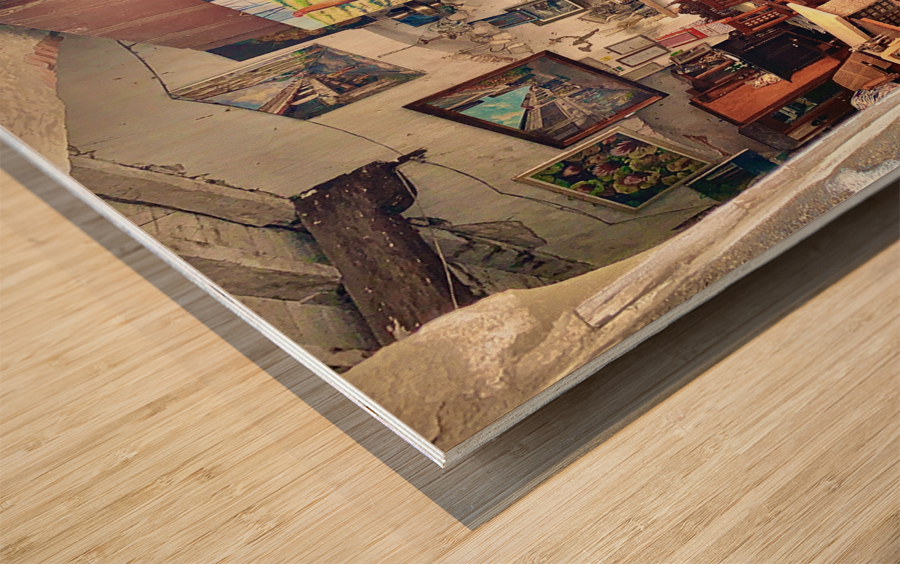 Antique Store Wood print