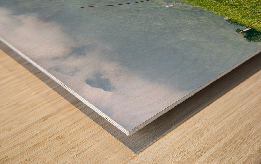 Asian Scarecrow Wood print