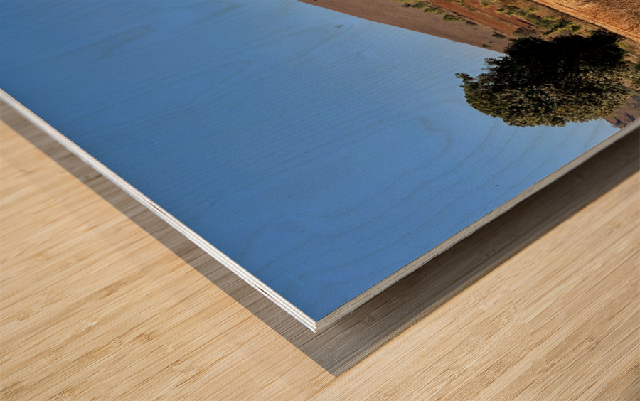 Earth Tones Hill Wood print