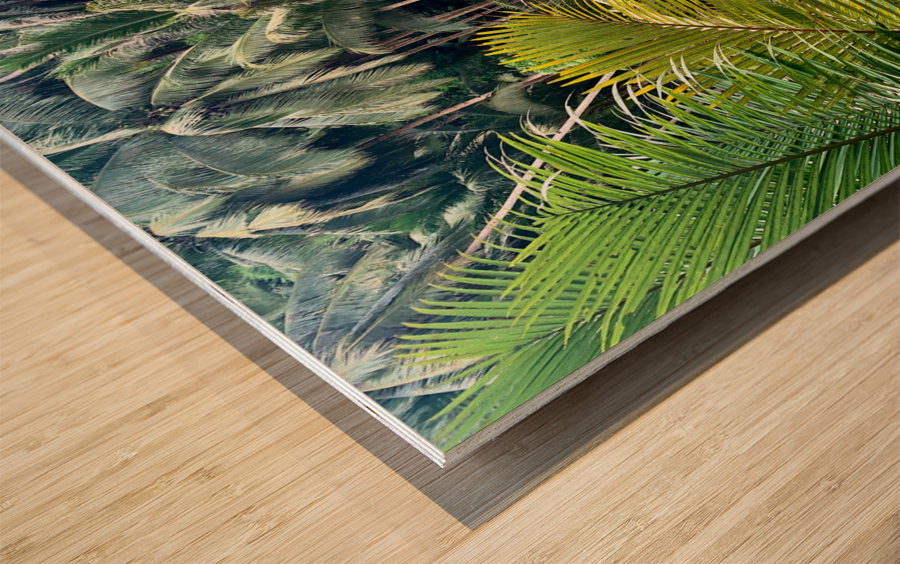 Blue Water in the Jungle Impression sur bois