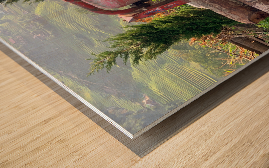 Dog Standing on Wood Wood print