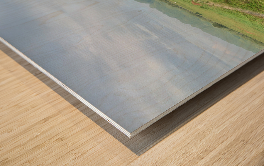 I ll Get There Soon Wood print