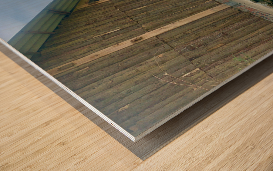 House in the Rice Fields Impression sur bois